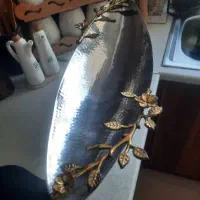 میوه خوری استیل
