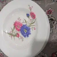 ملامین
