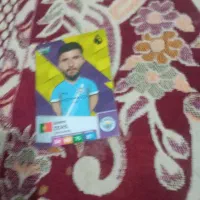 کیمدی|کلکسیون و سرگرمی|کاشمر, |دیوار