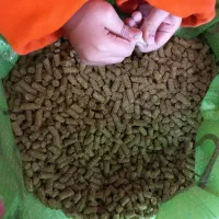 پلیت یونجه درجه ۱ کیفیت بی نظیر