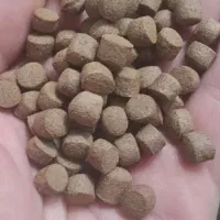 خوراک ماهی فرادانه