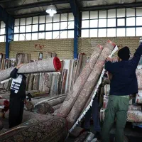 قالیشویی نگین مشهد