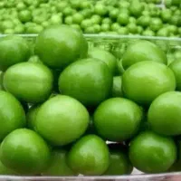 میوه های بسته بندی وشیک نوبرانه وگوجه سبز شهریار