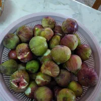 انجیر عسلی
