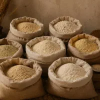 سویق گندم، جو و...