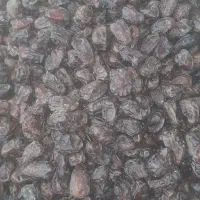 خرمای کبکاب پاک شده