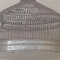 سهره خاکی ۲ساله