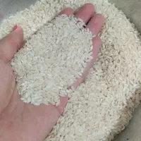 برنج
