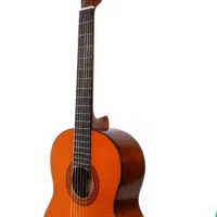 گیتار مارک