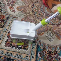 هسته گیر آلبالو