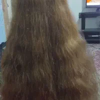 مو رنگ شده