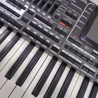 (Korg Pa4x Mg2(pa1000mg|پیانو، کیبورد، آکاردئون|شیراز, سینما سعدی|دیوار