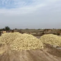 اجر درجه یک شیرین سفال سویسه