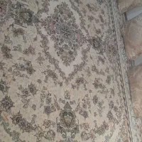 درحدنو میباشد