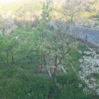 زمین-باغ