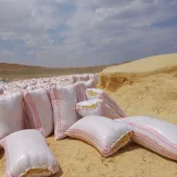 کاه گندم دیم ارسال از کردستان قیمت مناسب