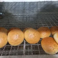 نان باکت لقمه همبرک فرانسوی شیر مال