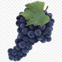 اب انگور