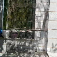 قفس پرنده و شیشه