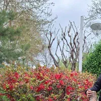 دورهمی کودکان