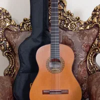 گیتار کلاسیک فرناندو مدل F2 (همراه با کیف)