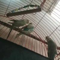 3میلیون