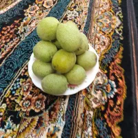 گردوی سبز بوانات نوبرانه
