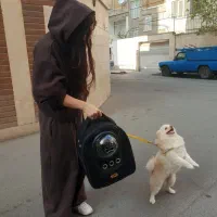 کیف حمل سگ گربه پرنده خرگوش عروس هلندی طوطی‌