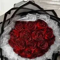 گل ربانی|گل مصنوعی|رشت, سعدی (تختی)|دیوار