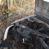 سمند تصادفی