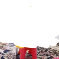 دوعددفرش دوازده مترفروشی
