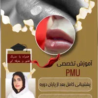 آموزش تخصصی میکروپیگمنتیشن ، میکروبلیدینگ