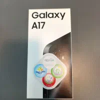 A17