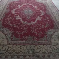 قالی|فرش|اهواز, کوی رمضان|دیوار