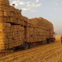 کمباین کاهکوب،