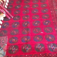 زیر خاکی