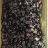 خرما خراب