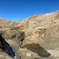 راننده