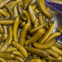 خیارشور ونایی