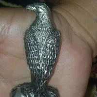 قابل توجه کلکسیونی