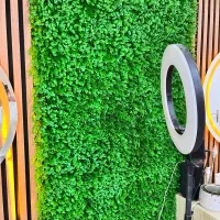 گرین وال قیمت مناسب