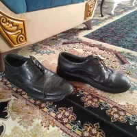 کفش|کیف، کفش، کمربند|مشهد, امیر آباد|دیوار