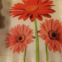 ظرف پذیرایی
