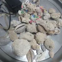 پمپ اکفاریوم وصدف