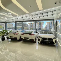 BMW X2 2025 SDRIVE25i زیر قیمت ایران(گالری گلدسته)