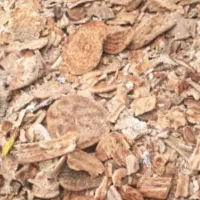 خریدار نون به قیمت