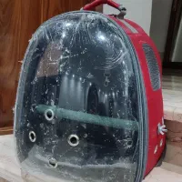 کیف حمل پرنده
