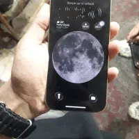iphone 13pro|موبایل|رشت, چمارسرا|دیوار