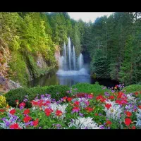 فروش-باغ-در-جومیان