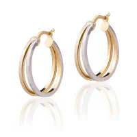 گوشواره گم شده